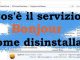 Che cose il servizio bonjour in windows e come disinstallare
