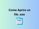 Aprire un file .exe